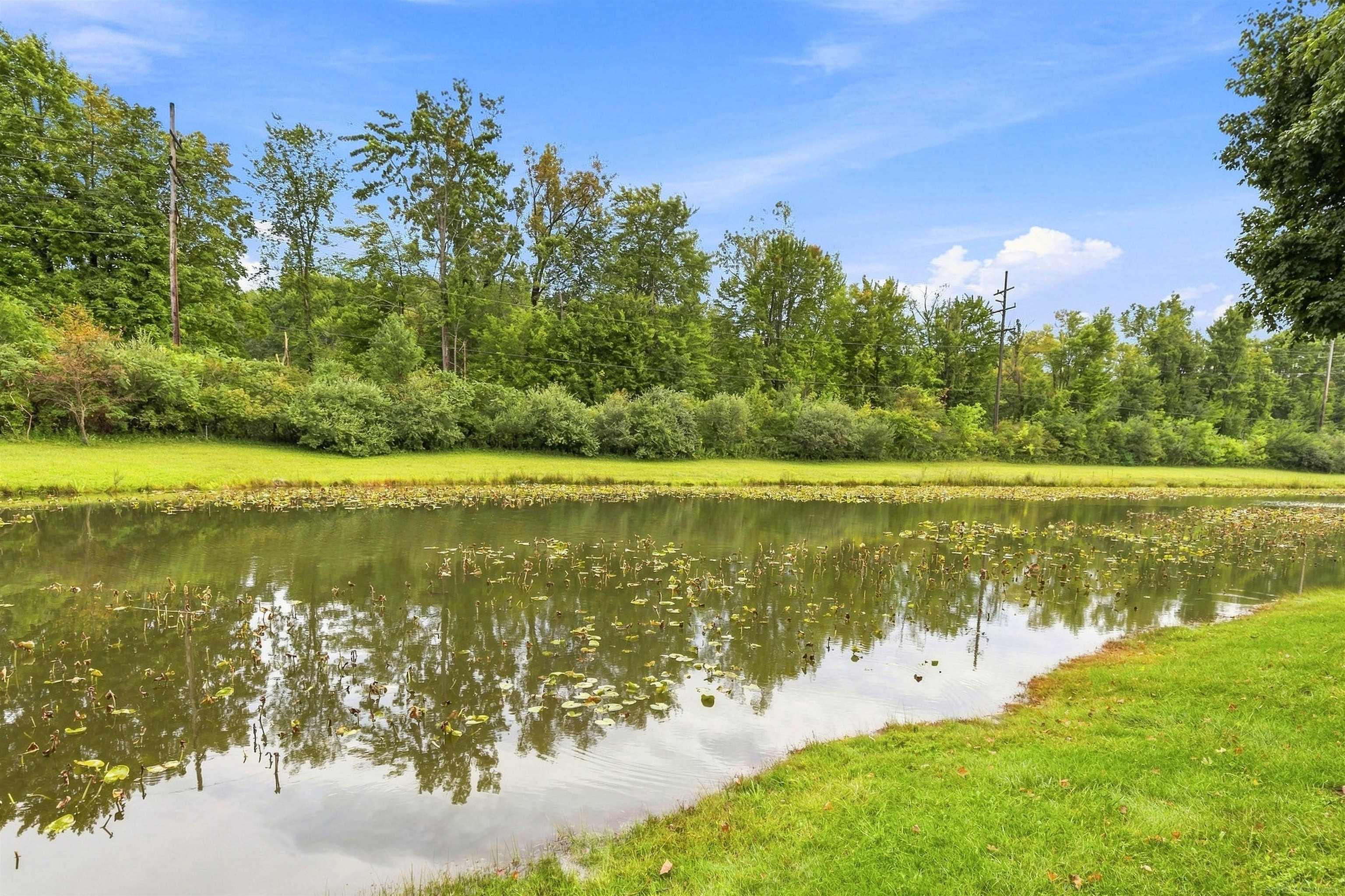 Pond with lily pads beside a grassy bank and wooded backdrop.