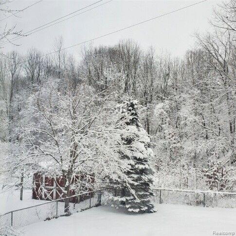 7990 Meadowview Court