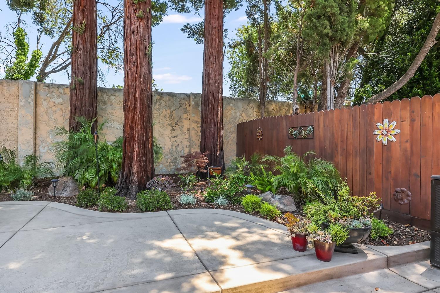 1235 Spruce Tree Circle