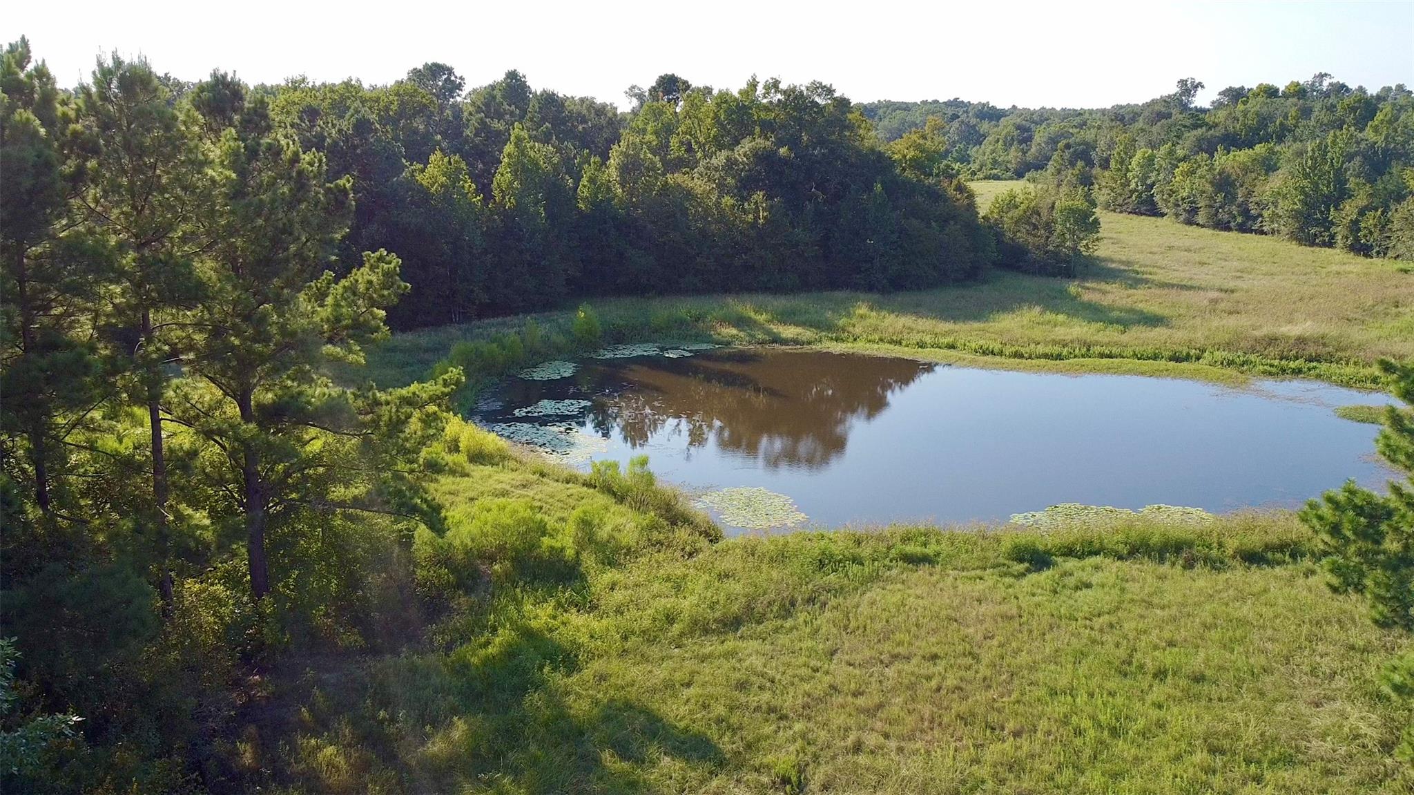 TBD County Road 4025