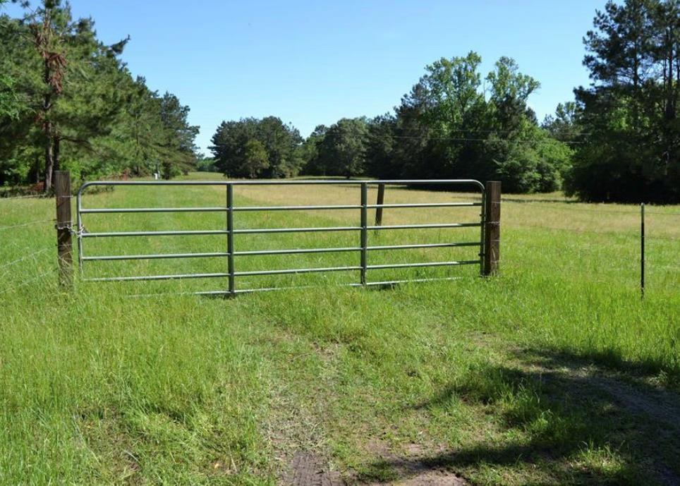 TBD County Road 4025