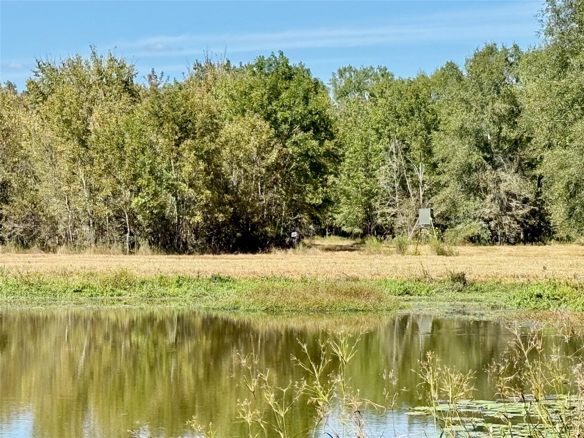TBD County Road 4025