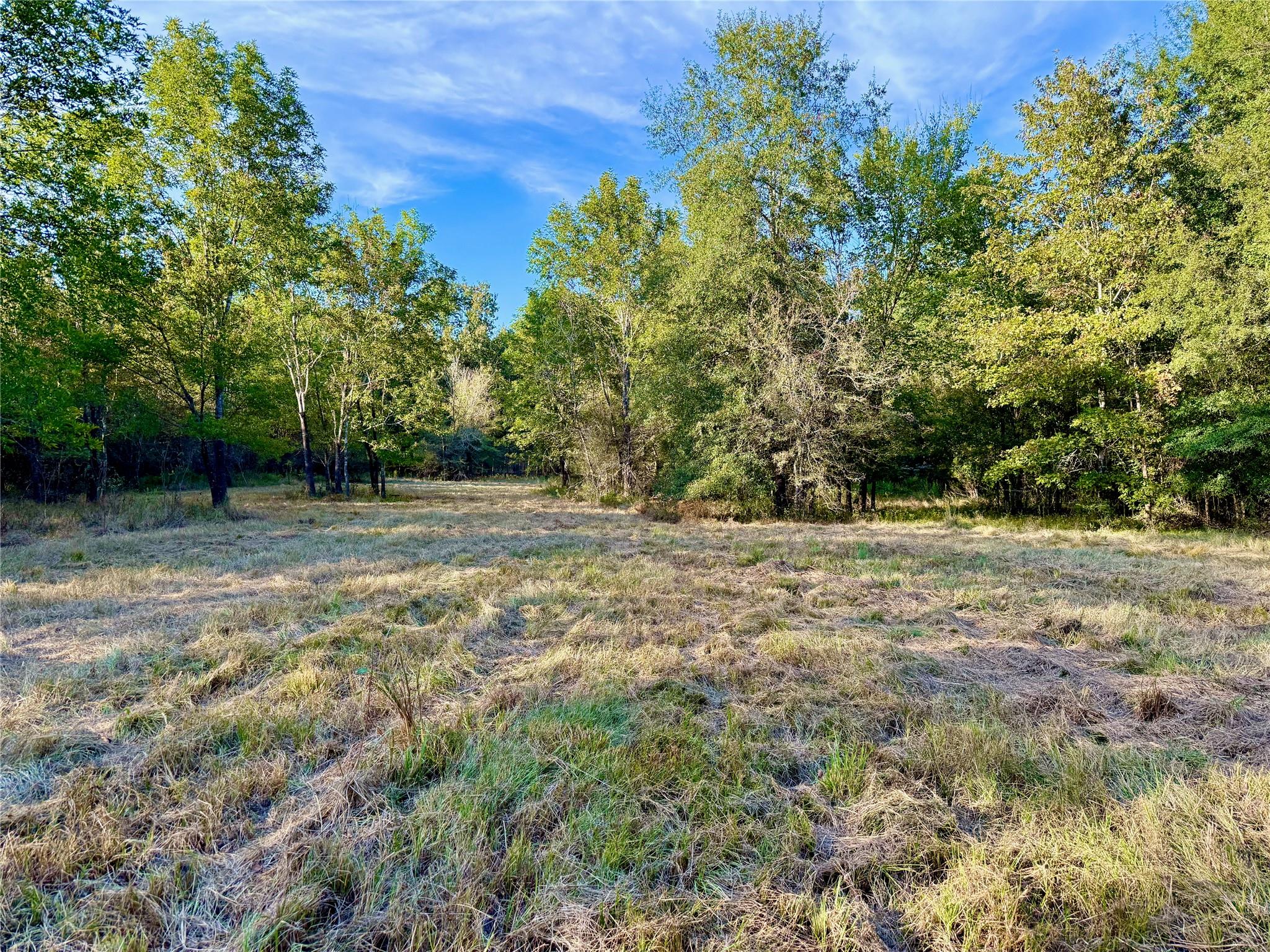 TBD County Road 4025
