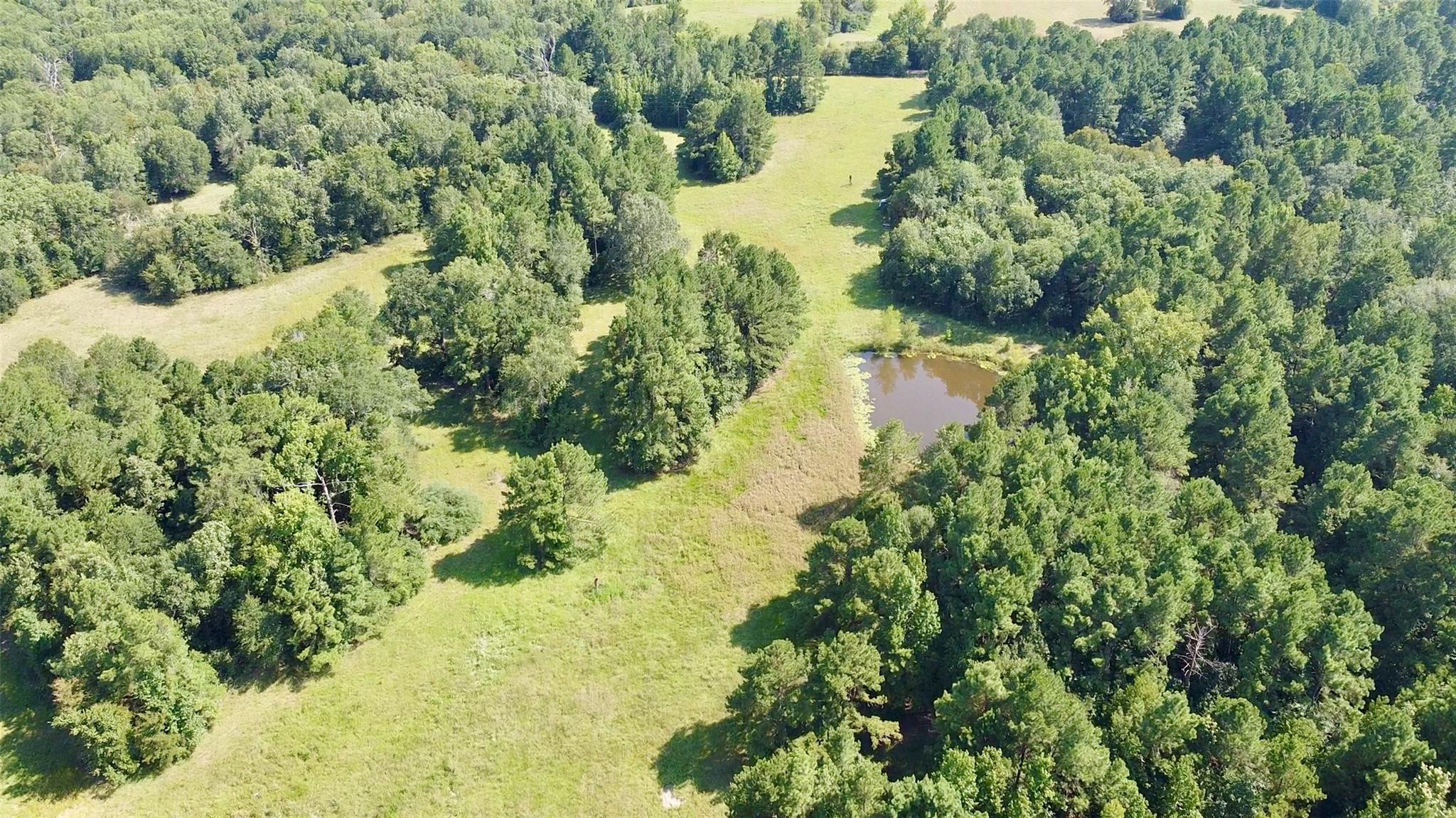 TBD County Road 4025