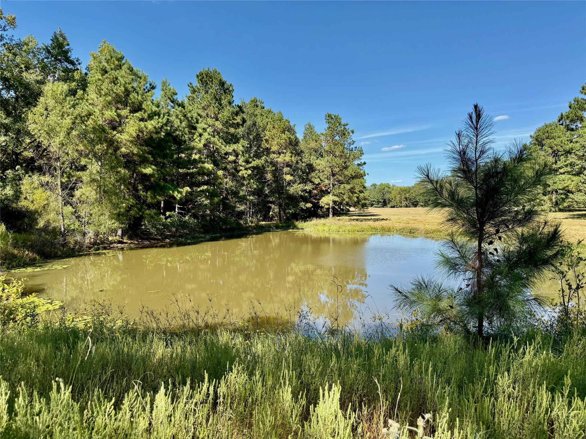 TBD County Road 4025