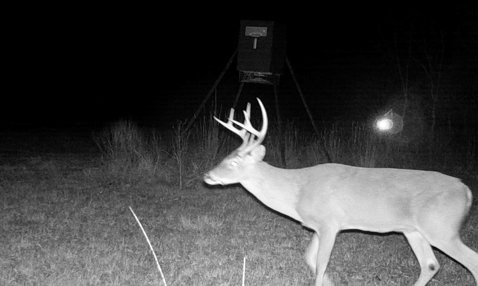 TBD County Road 4025