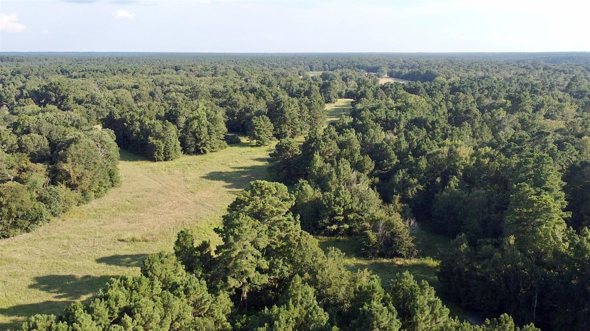 TBD County Road 4025