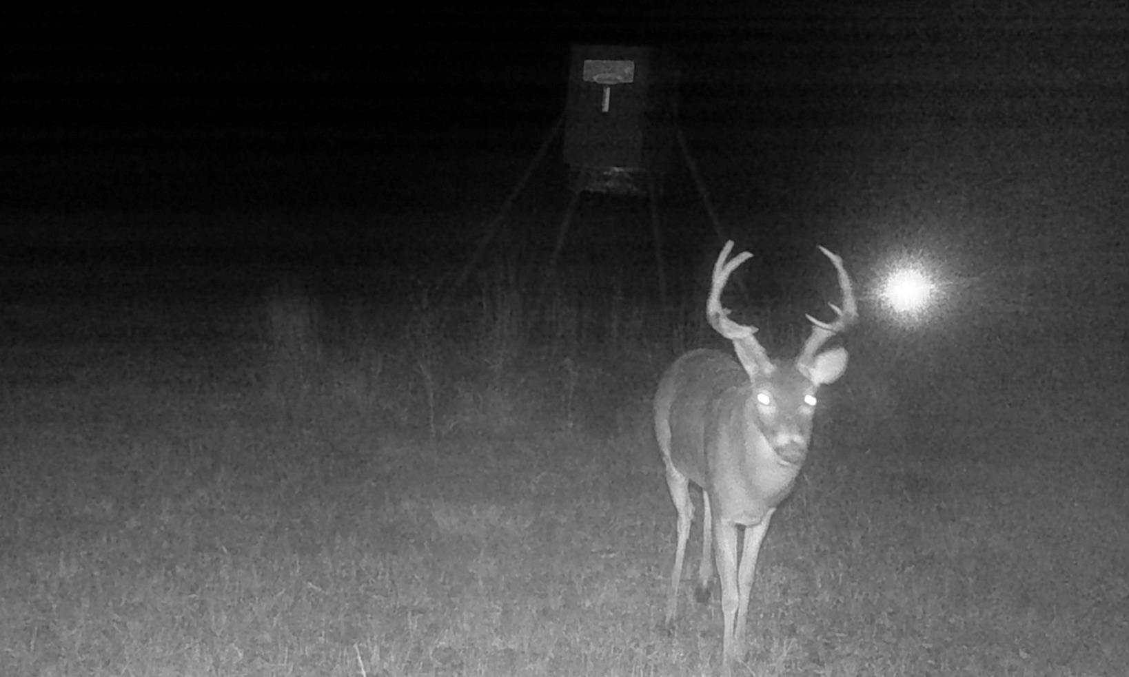 TBD County Road 4025