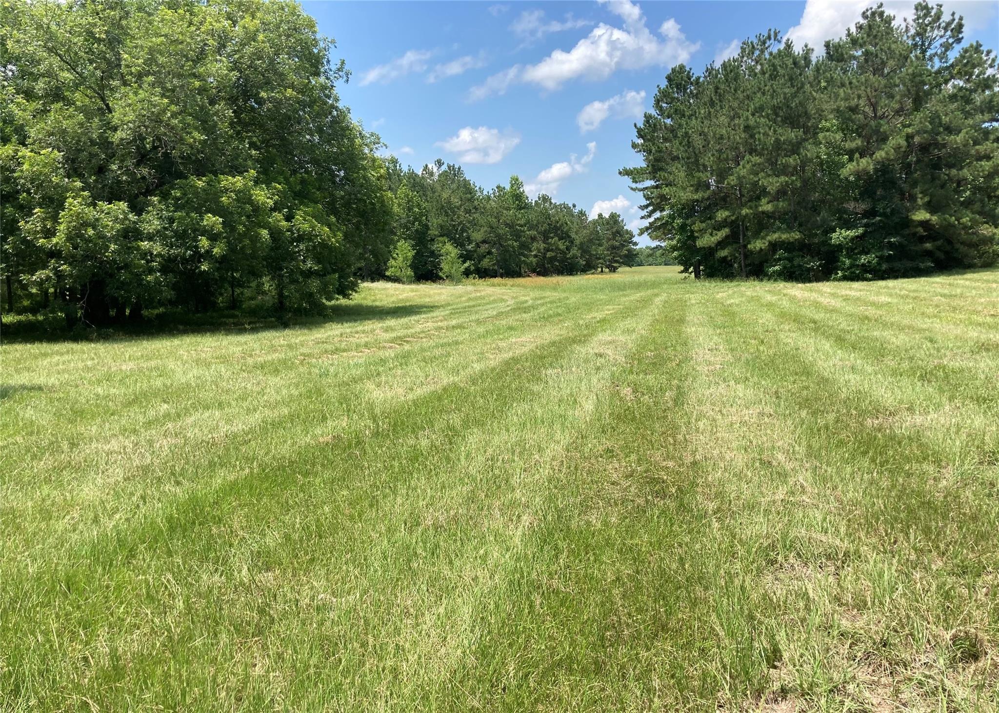 TBD County Road 4025
