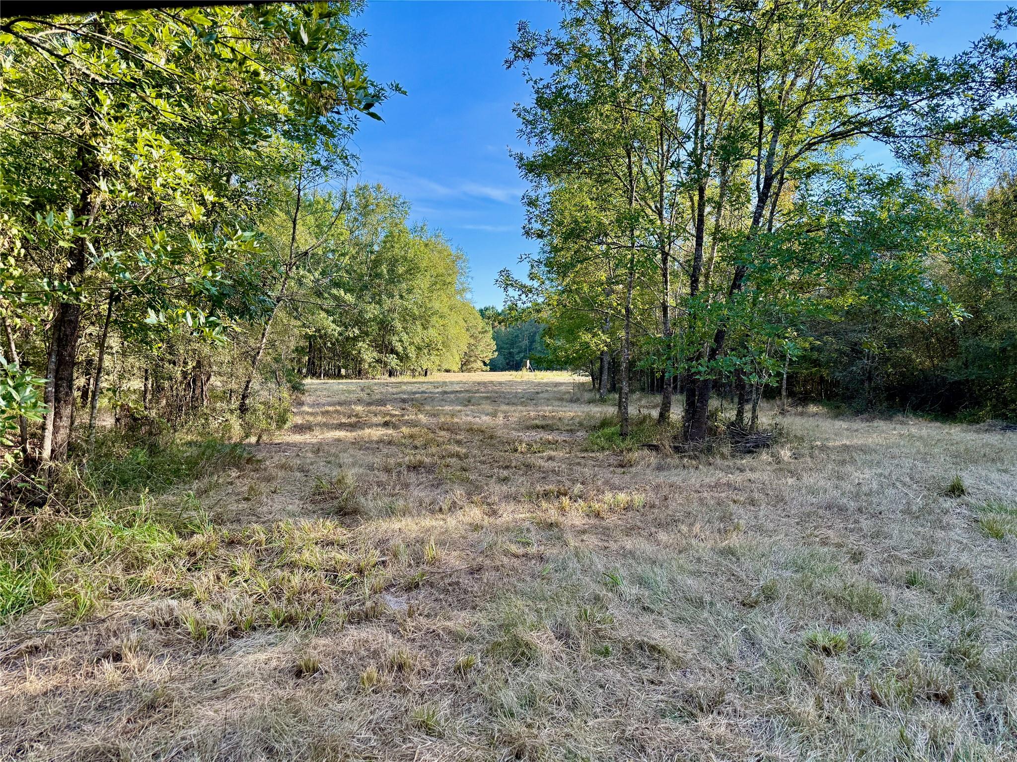 TBD County Road 4025