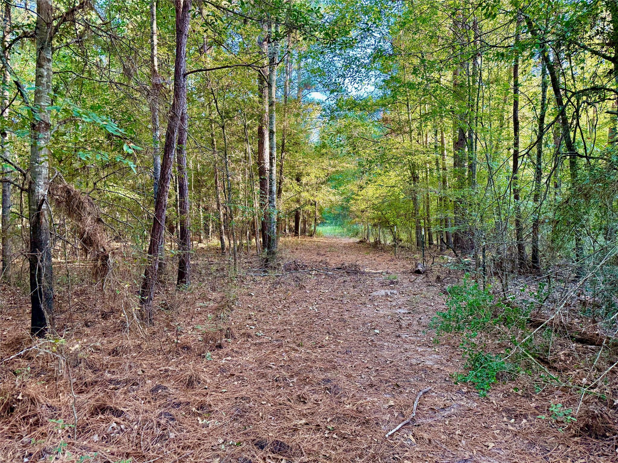 TBD County Road 4025