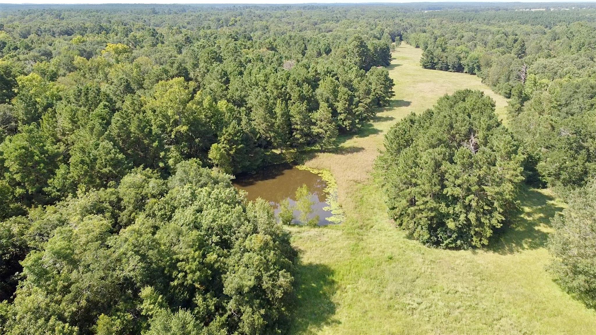 TBD County Road 4025
