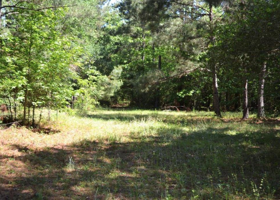 TBD County Road 4025