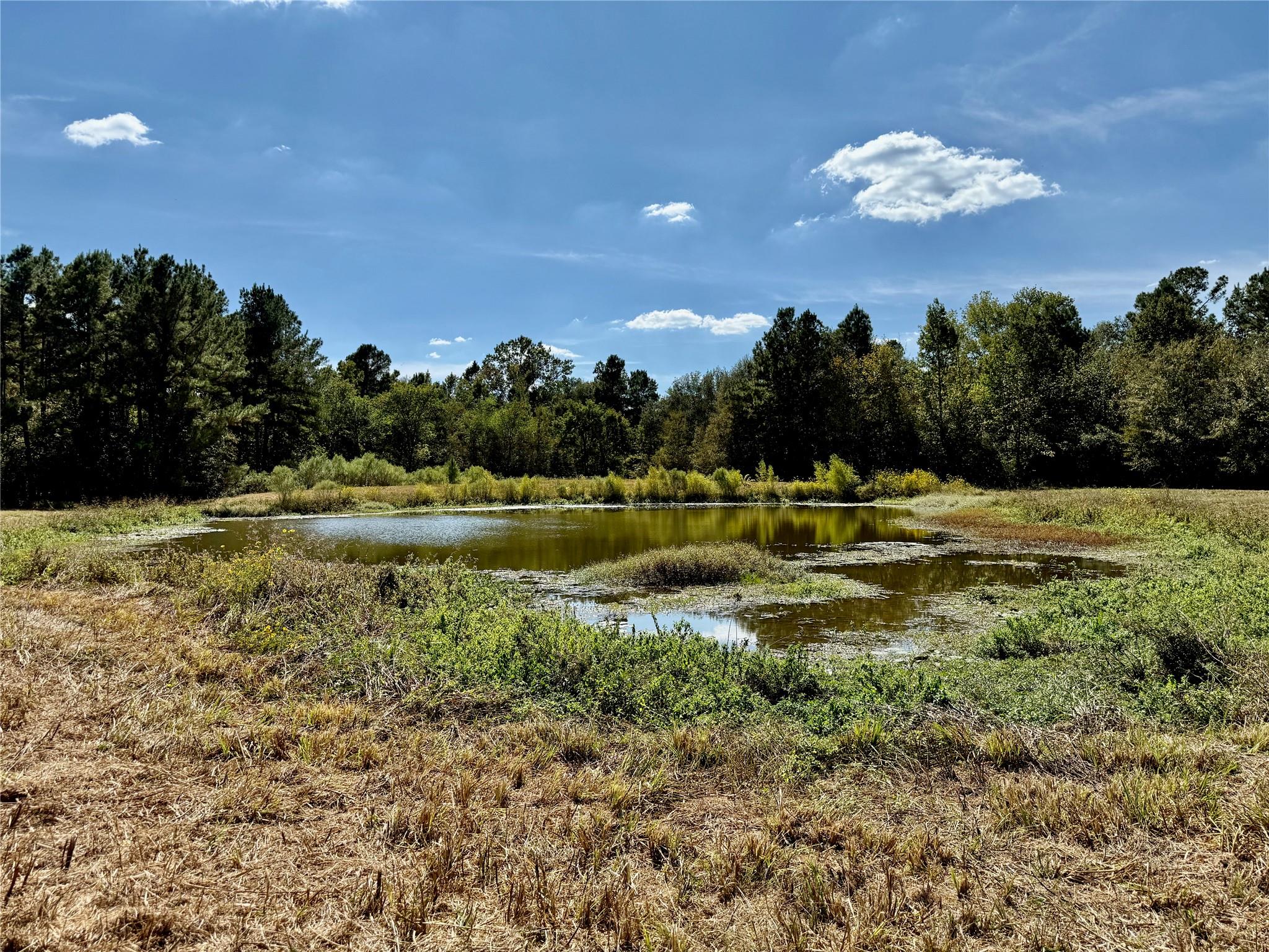 TBD County Road 4025
