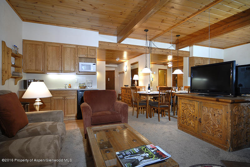 301 E Hyman Avenue, #207 (Wks 9,30,39)