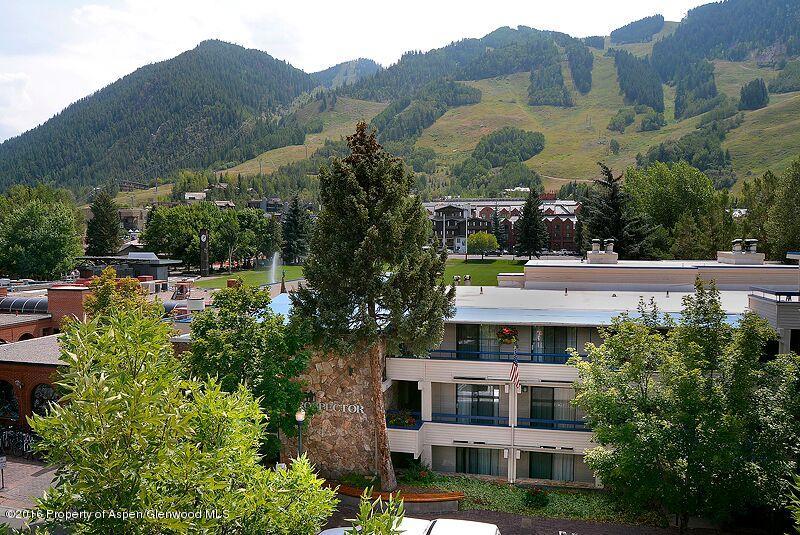 301 E Hyman Avenue, #207 (Wks 9,30,39)