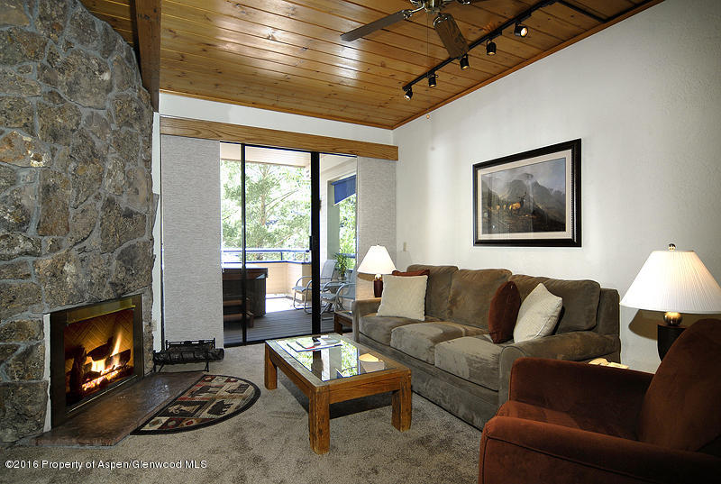 301 E Hyman Avenue, #207 (Wks 9,30,39)