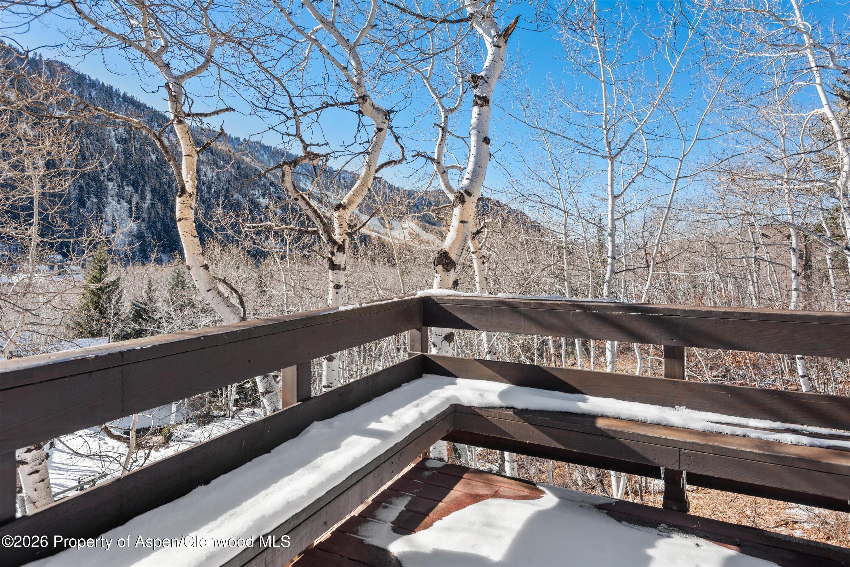 246 Roaring Fork Drive