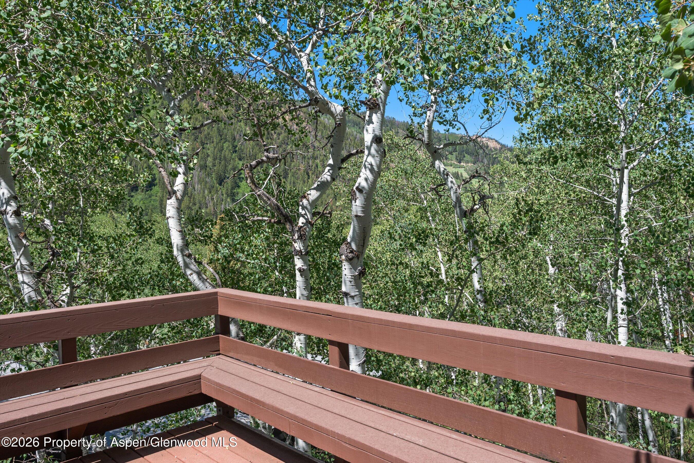 246 Roaring Fork Drive