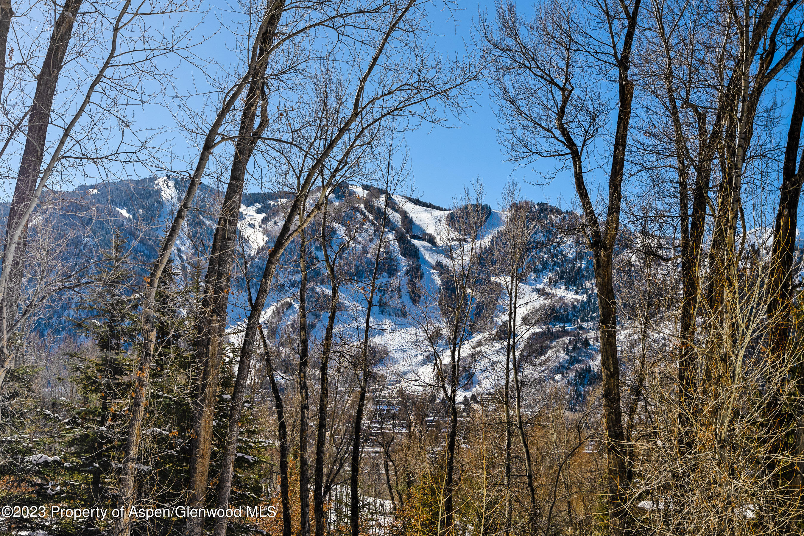 1036 Red Mountain Road