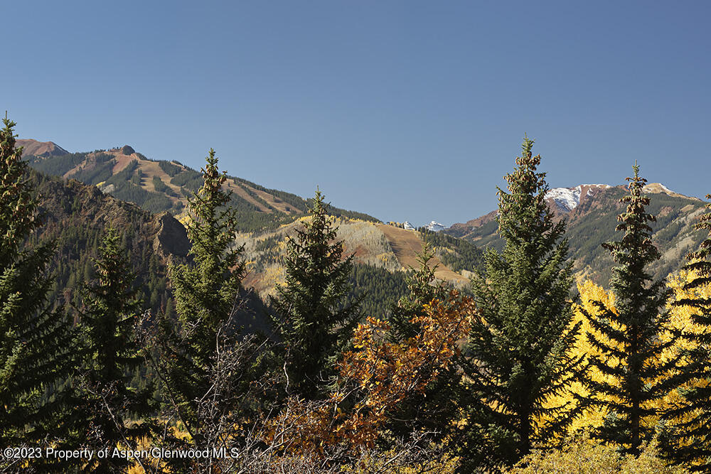 1036 Red Mountain Road