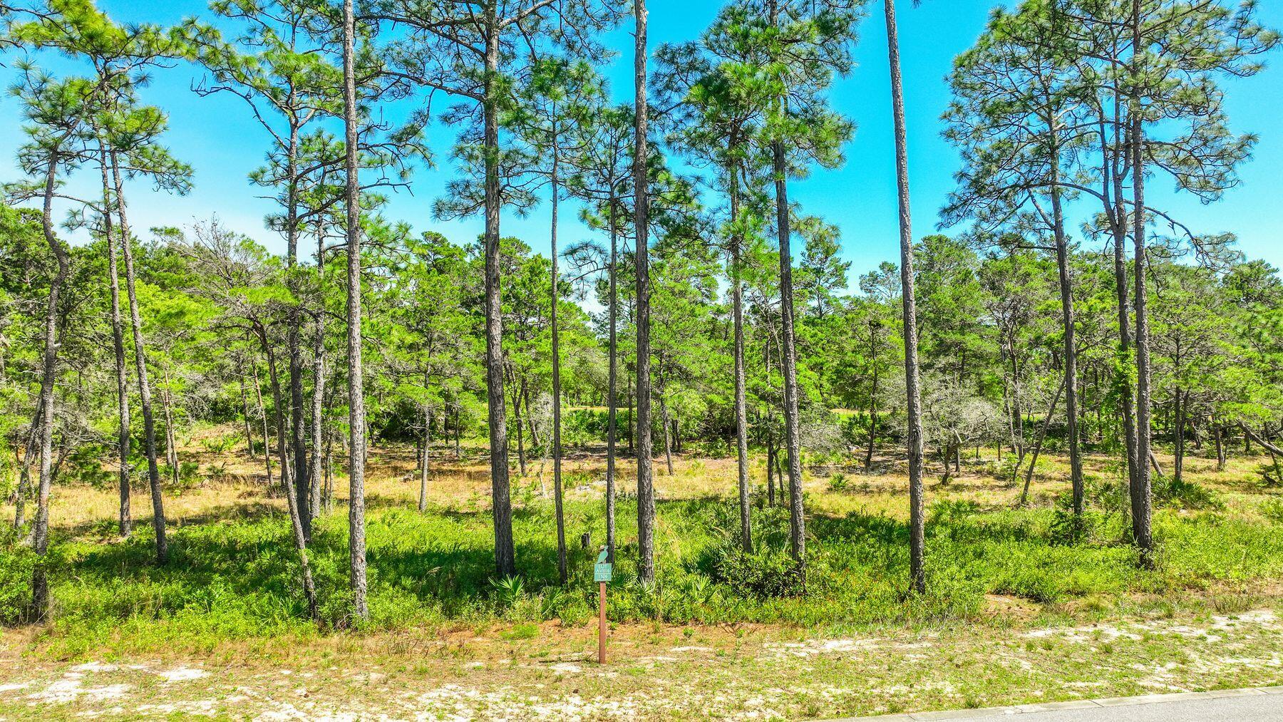 1506 Dune Lake Trail