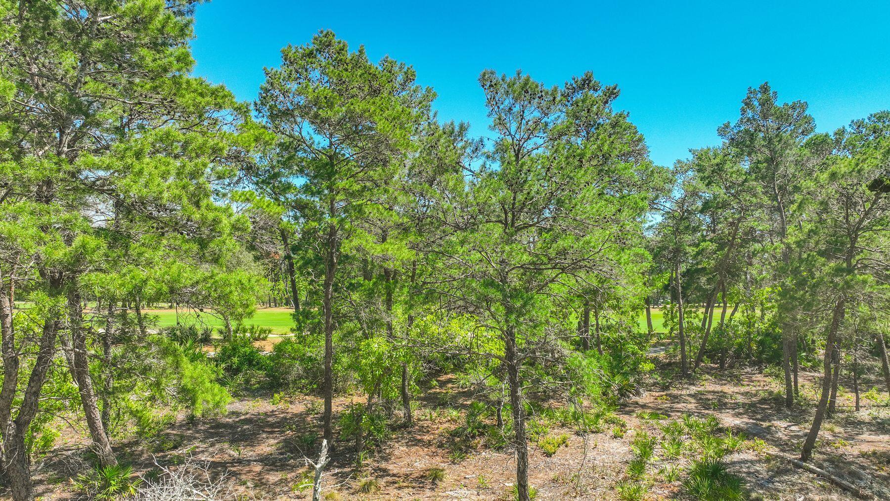 1506 Dune Lake Trail