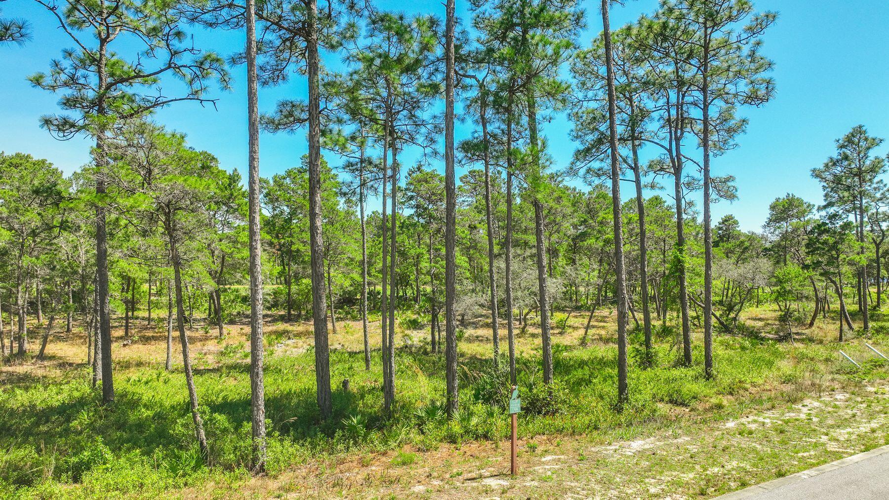 1506 Dune Lake Trail