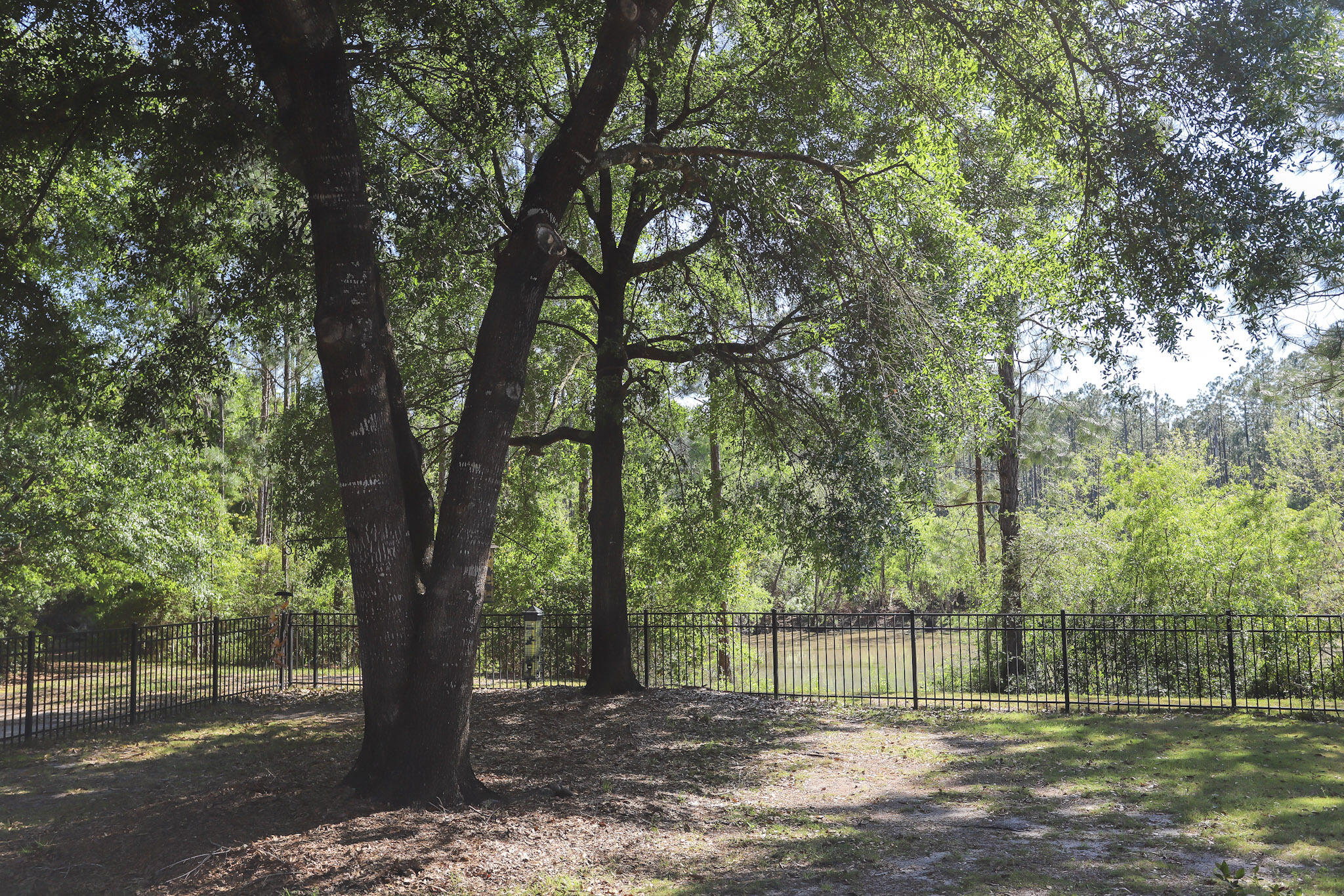 557 Windswept Boulevard