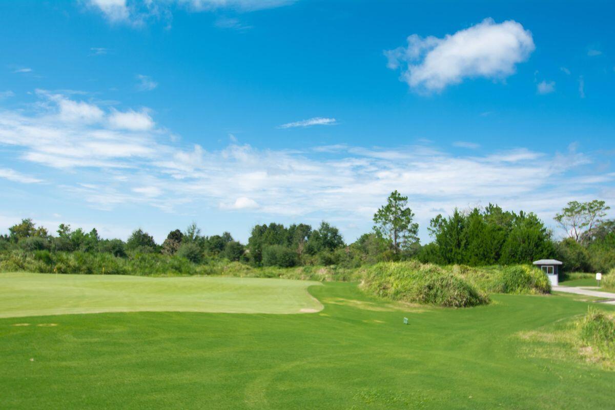 557 Windswept Boulevard