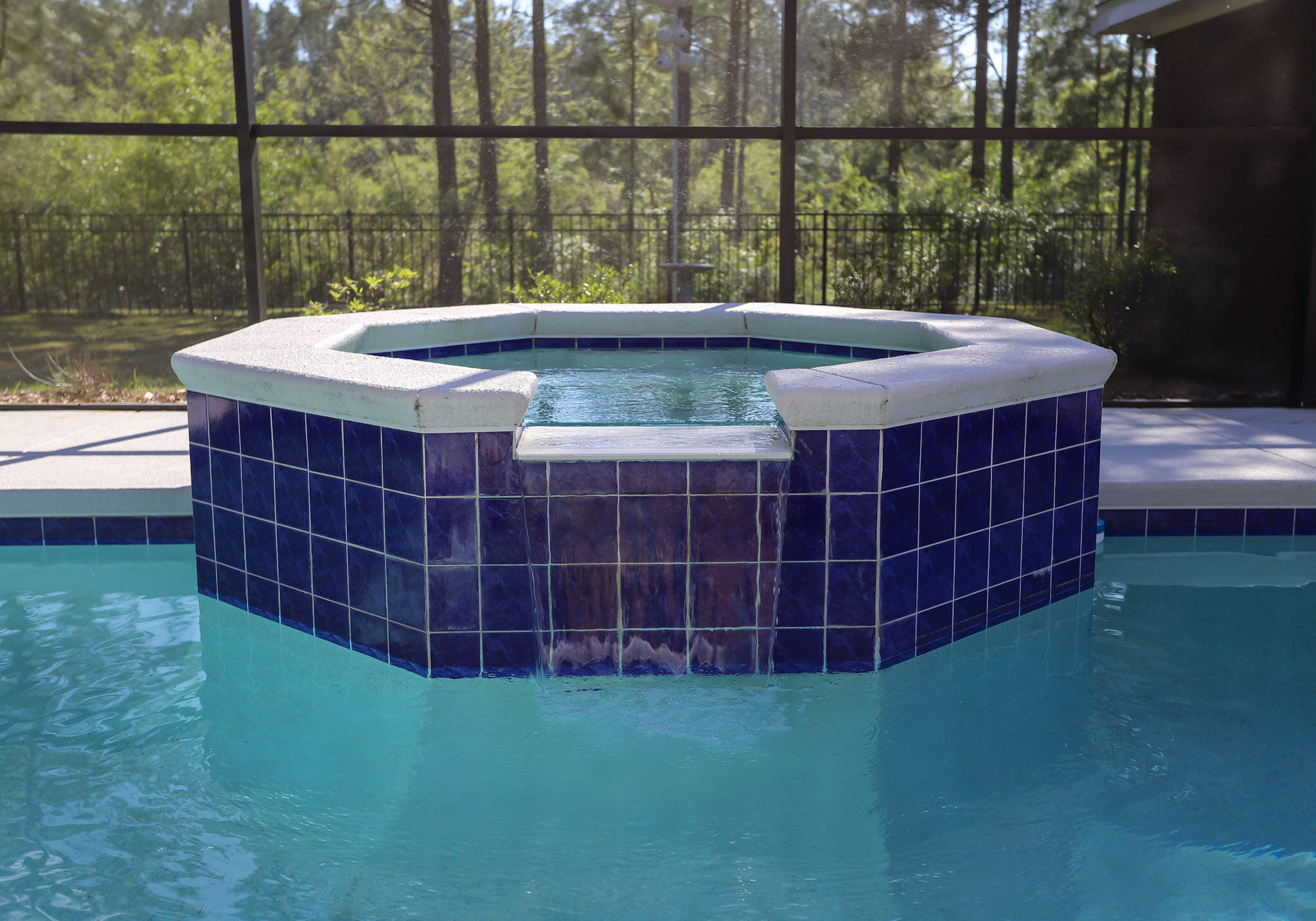 557 Windswept Boulevard