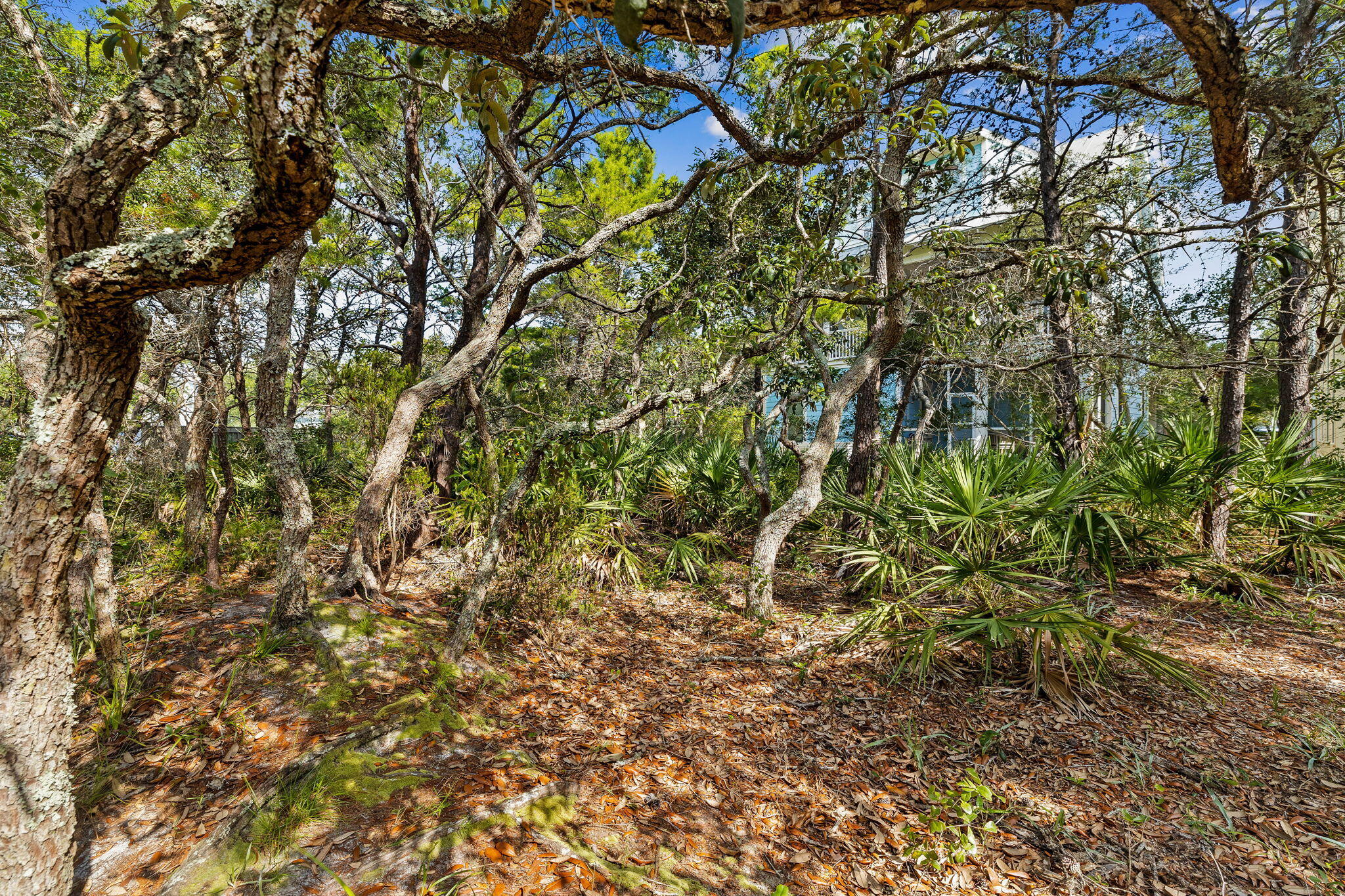 90 Silver Laurel Way