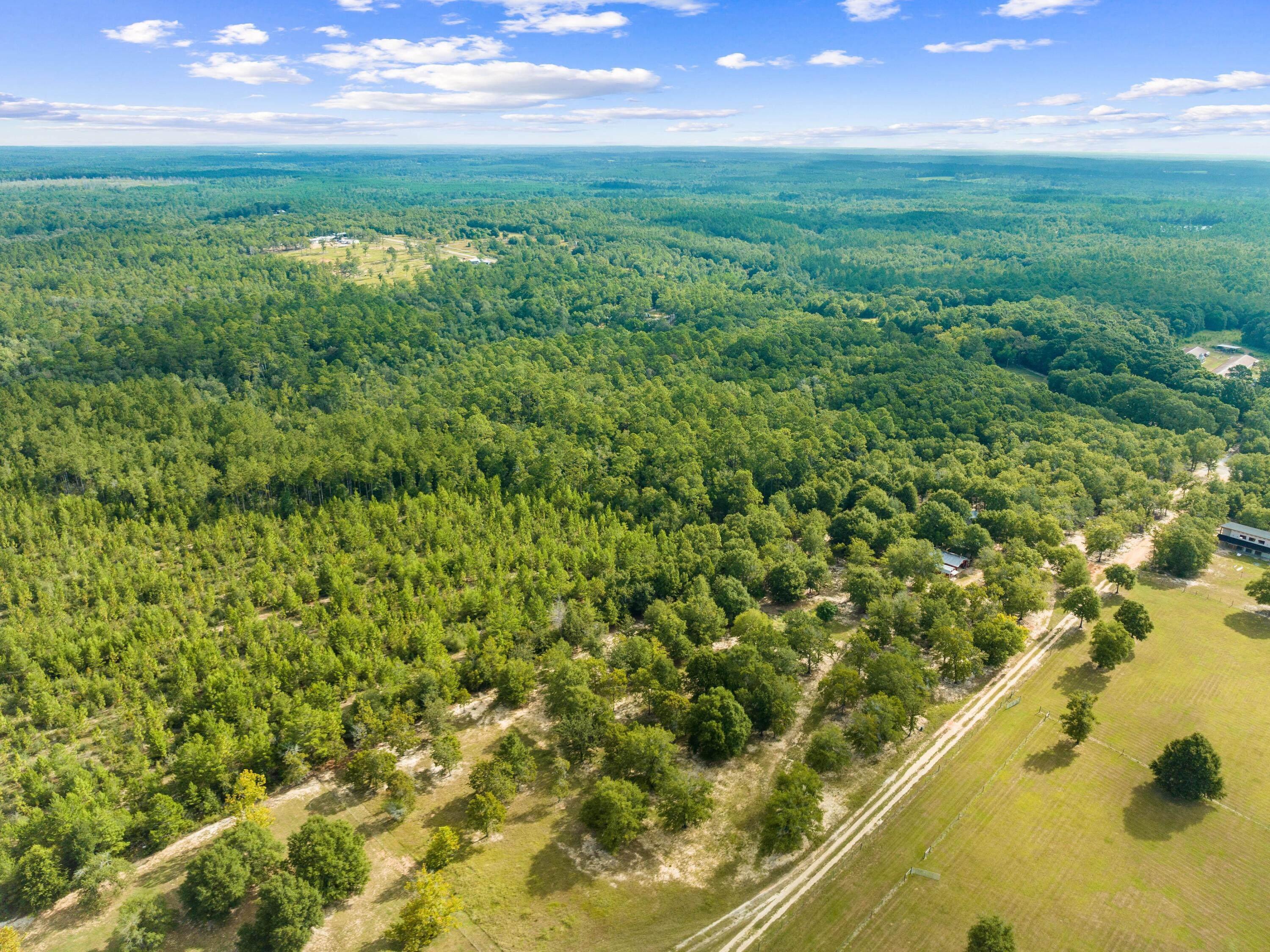 TBD N County Highway 183, DeFuniak Springs