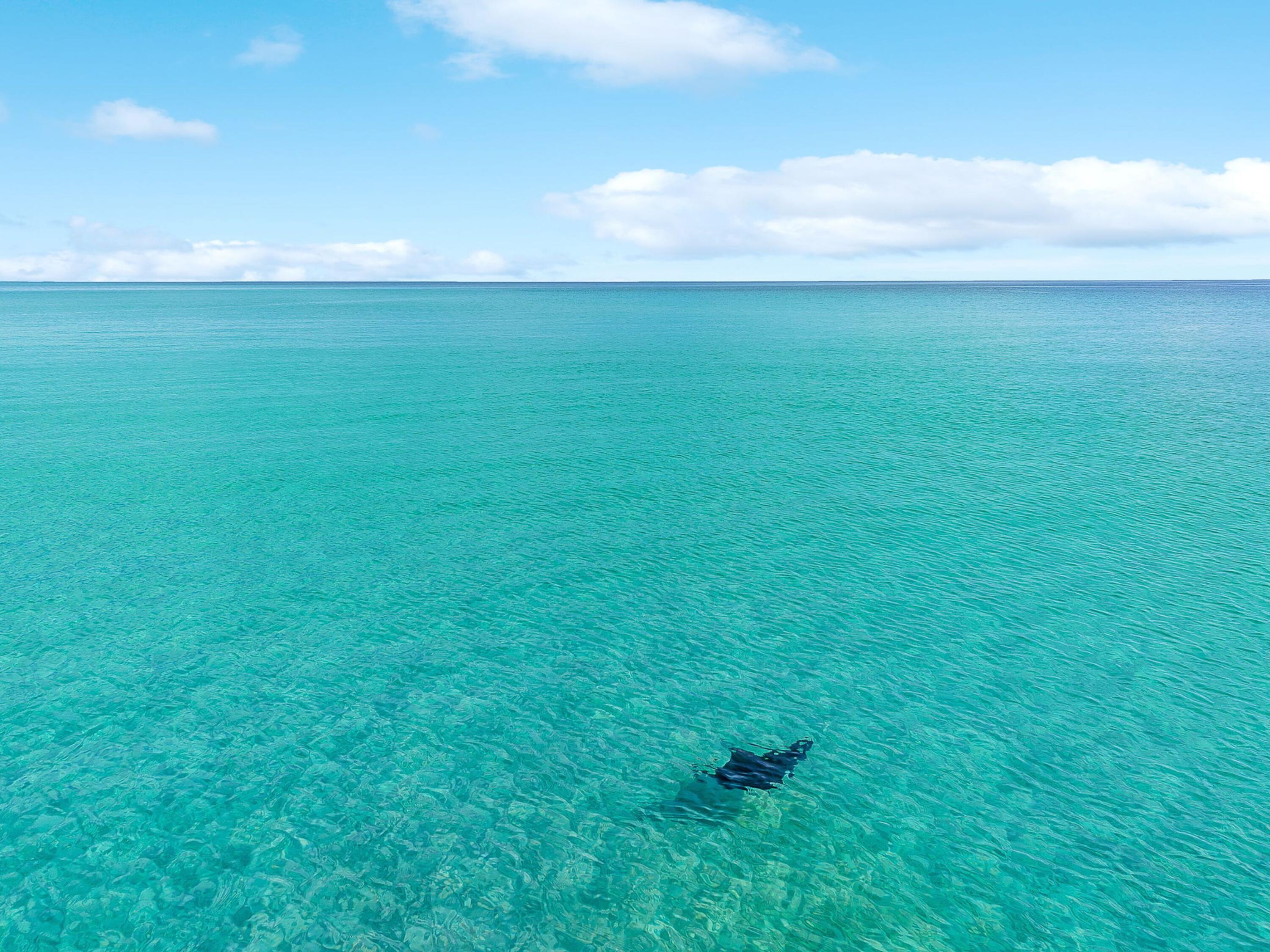 156 Beacon Point Drive