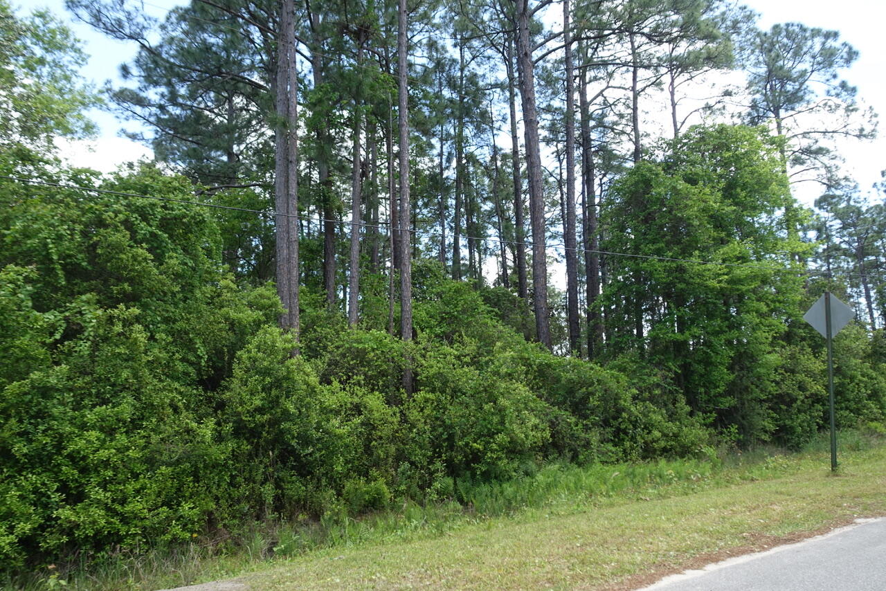Lot 1 Virgo Street