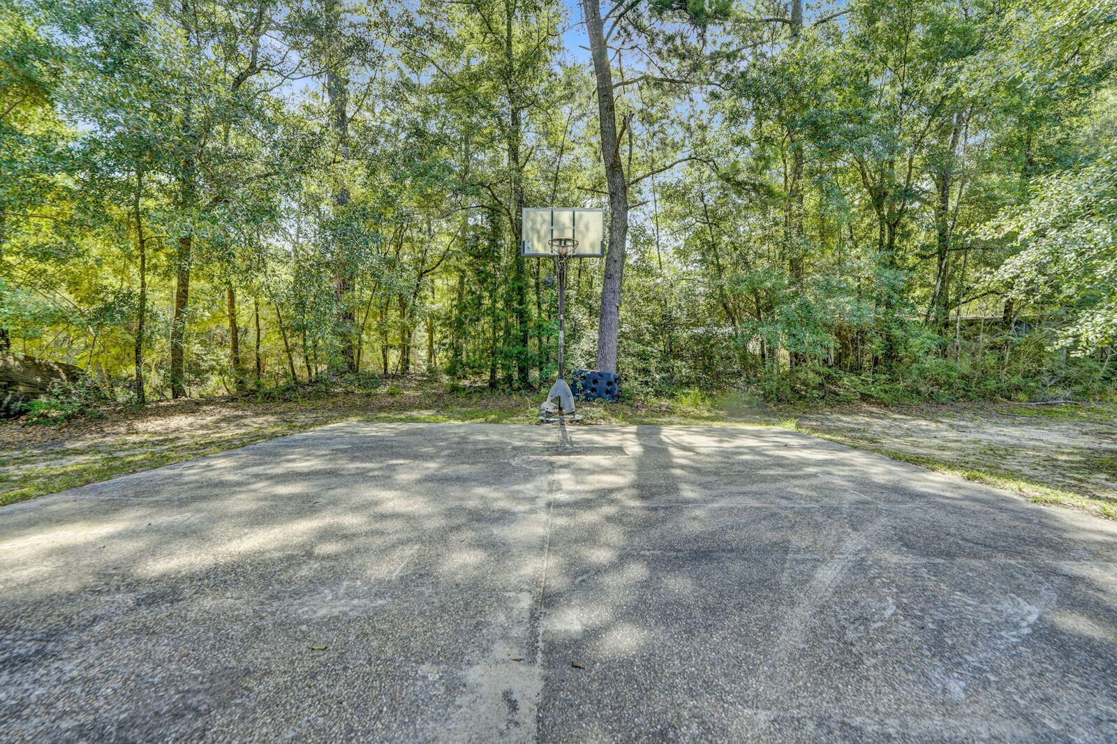 1686 Mayo Lane