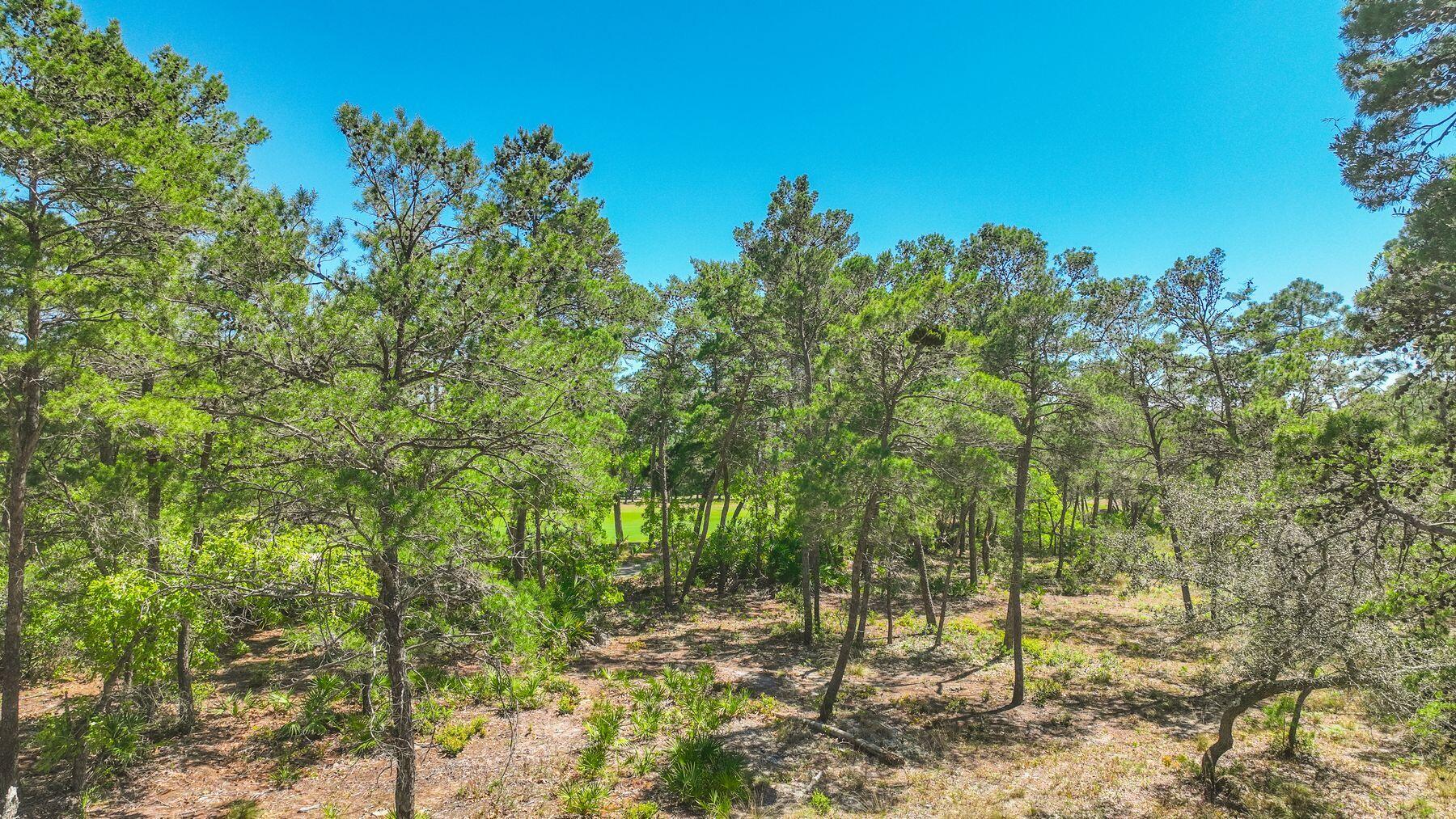 1506 Dune Lake Trail