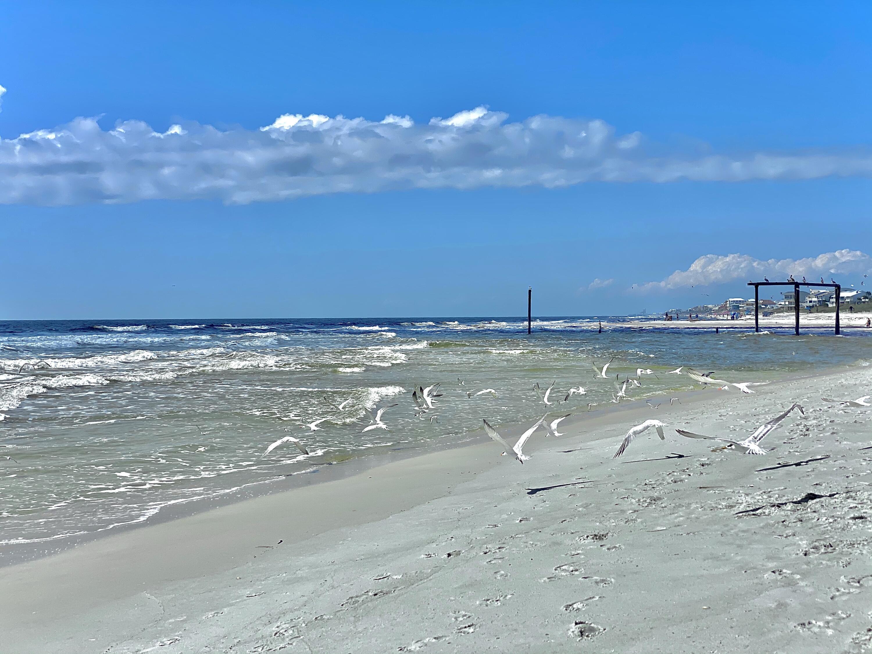 22207 Fox Glenn Trace