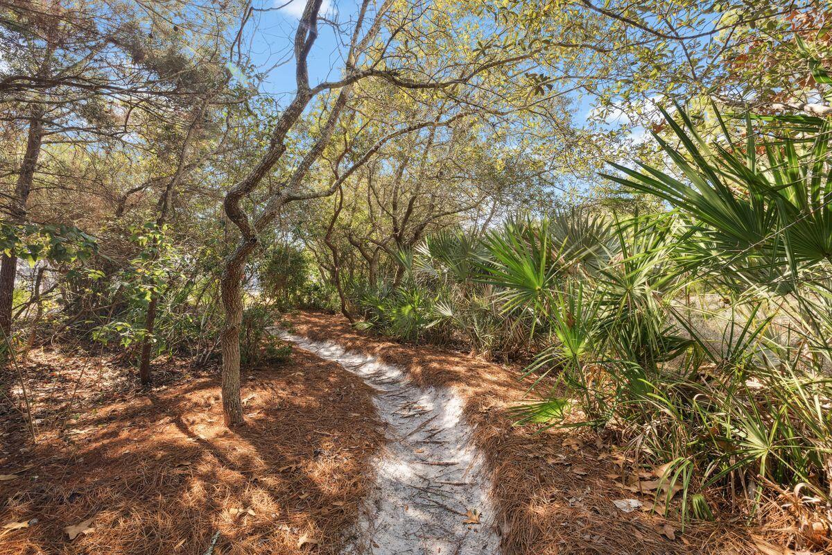10 Creek Bridge Lane