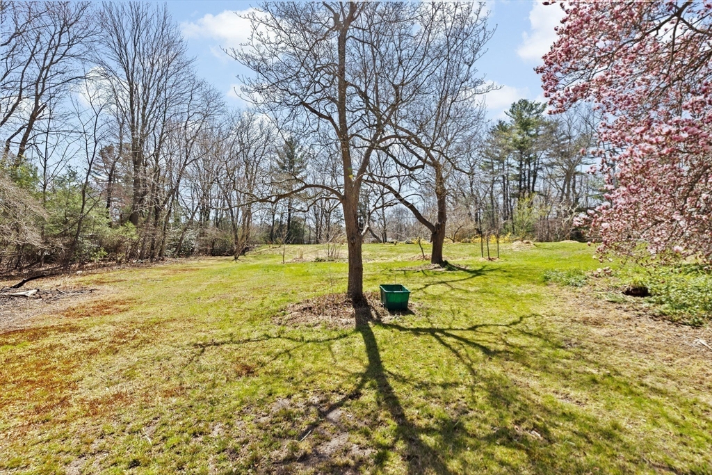 385 Whiting St ($45K Over Asking)