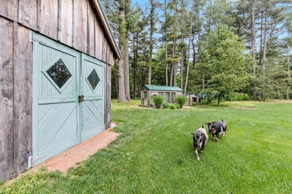 1296 Main ($50K Over Asking)