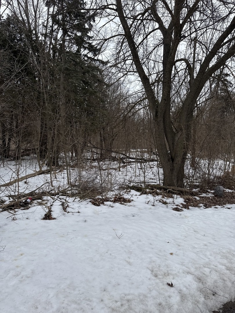 1601 Faithorn Avenue