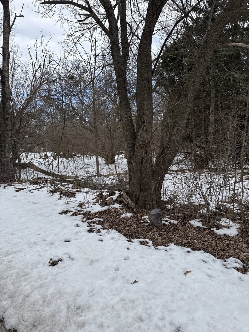 1601 Faithorn Avenue