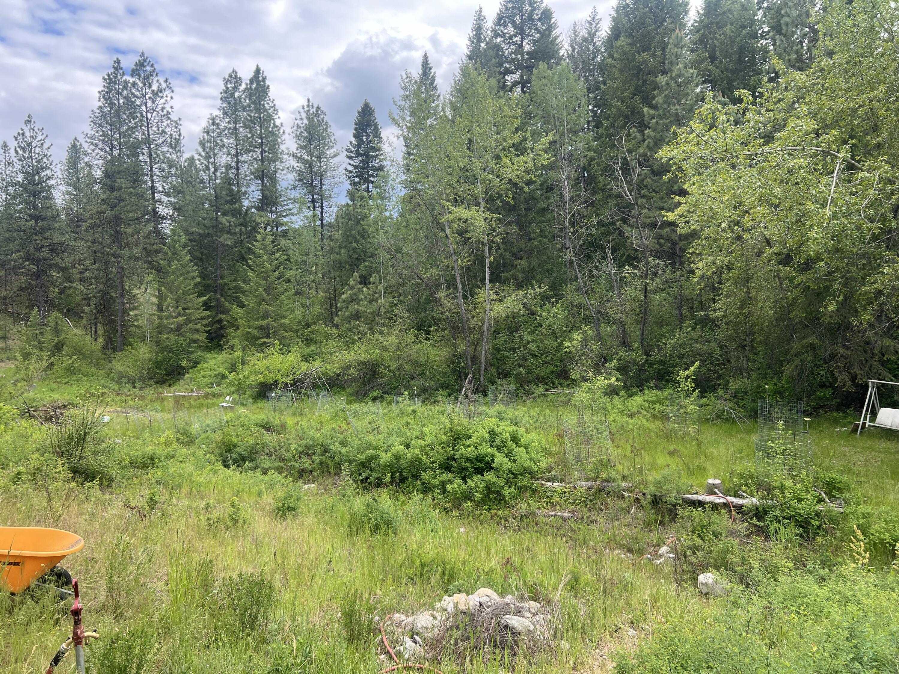 16 SPRING LOOP