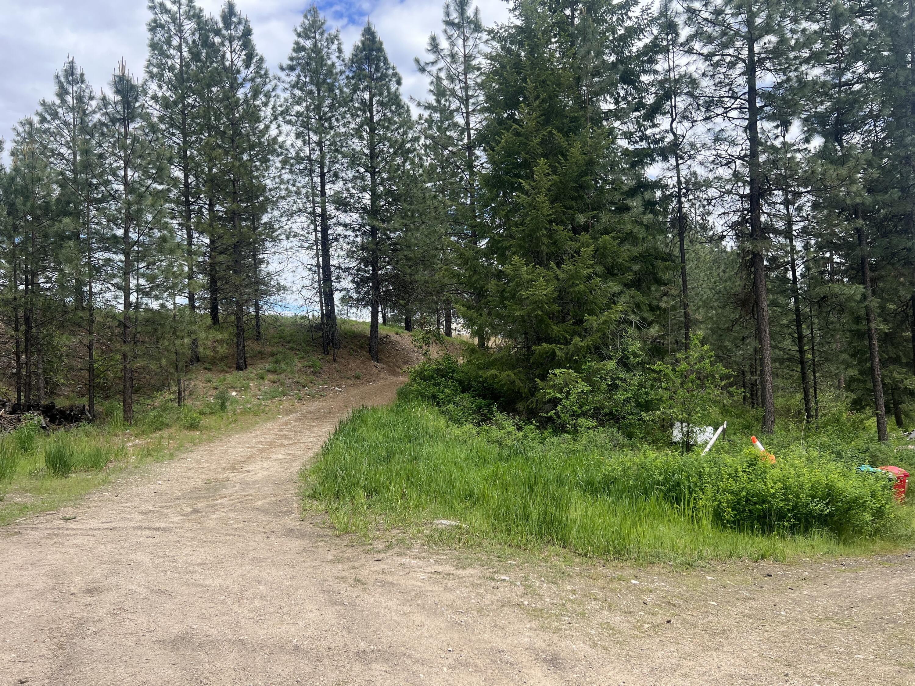 16 SPRING LOOP