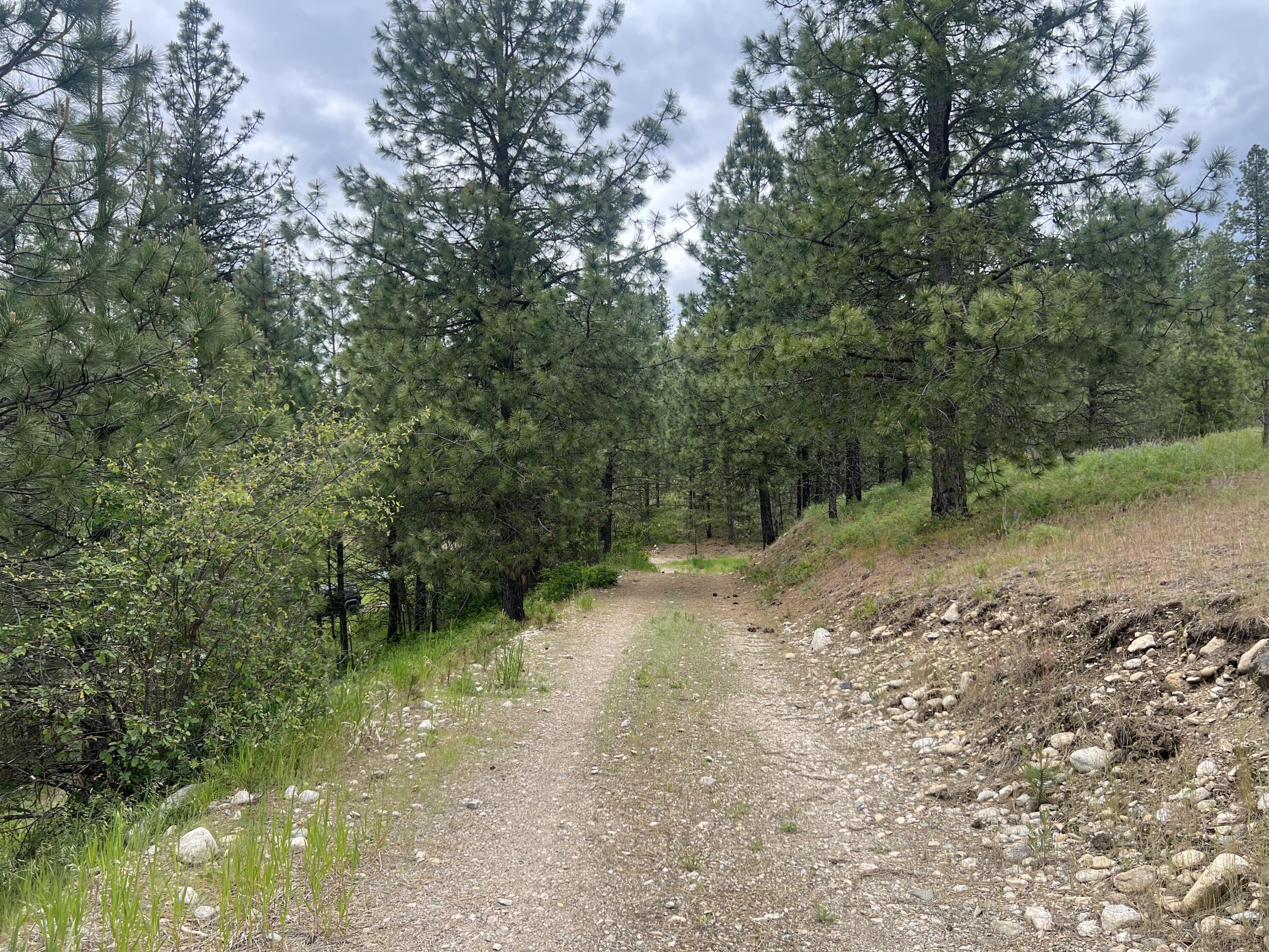 16 SPRING LOOP