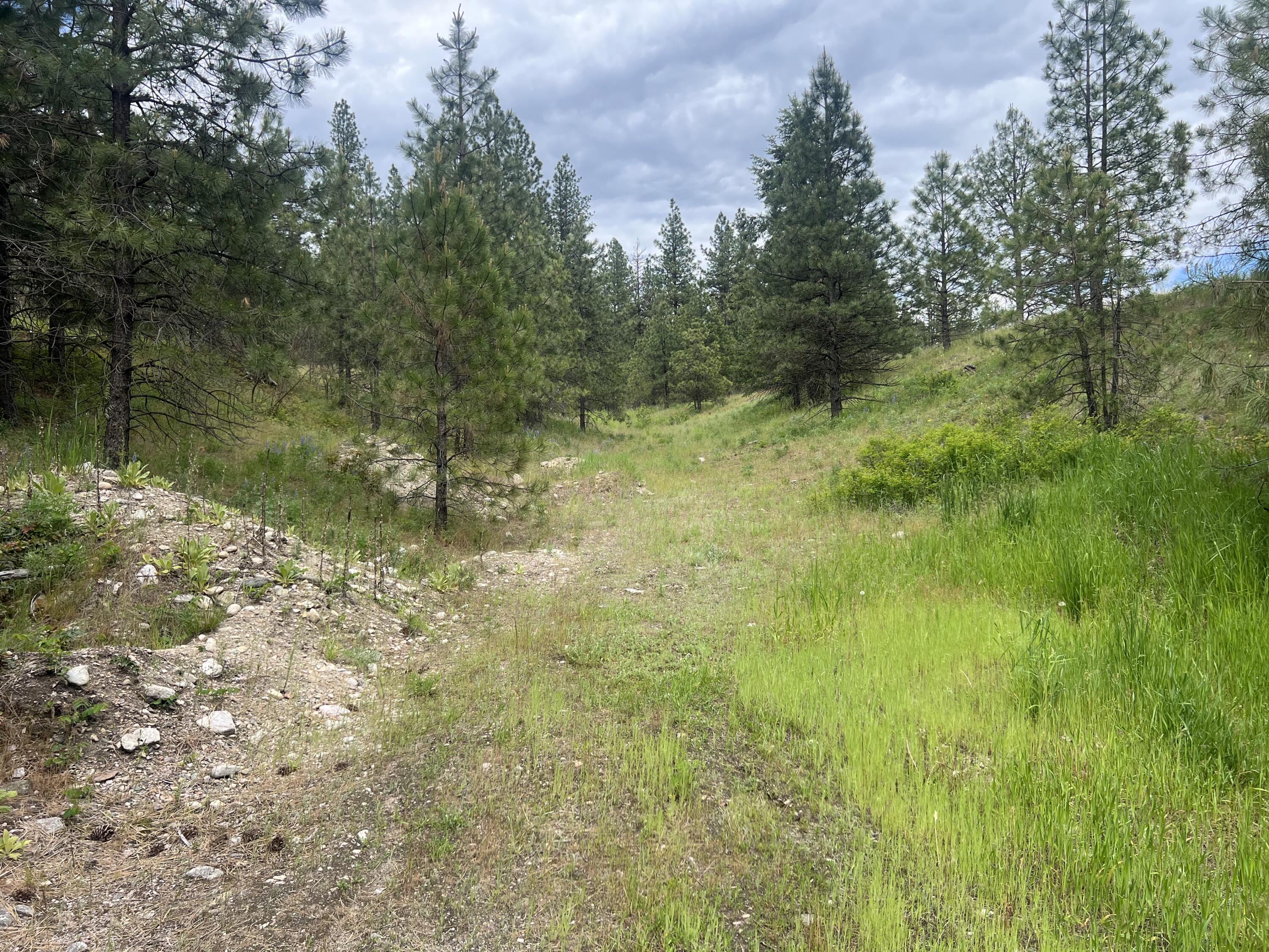16 SPRING LOOP