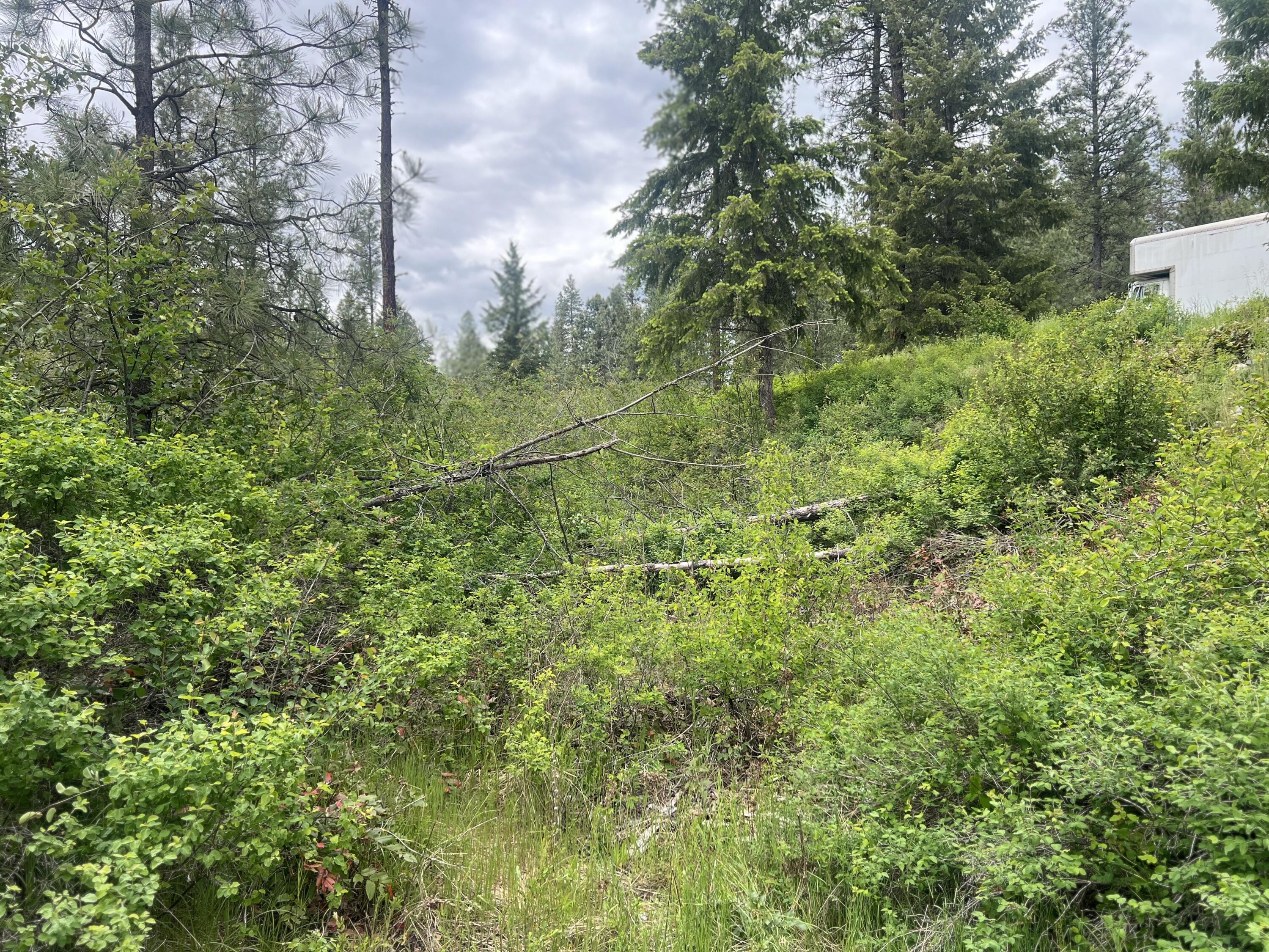 16 SPRING LOOP