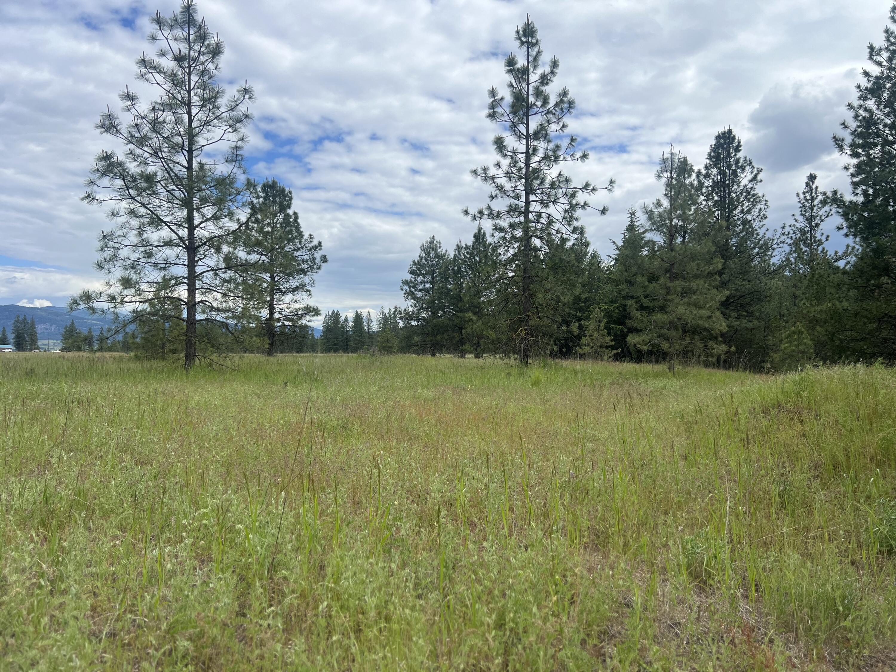 16 SPRING LOOP