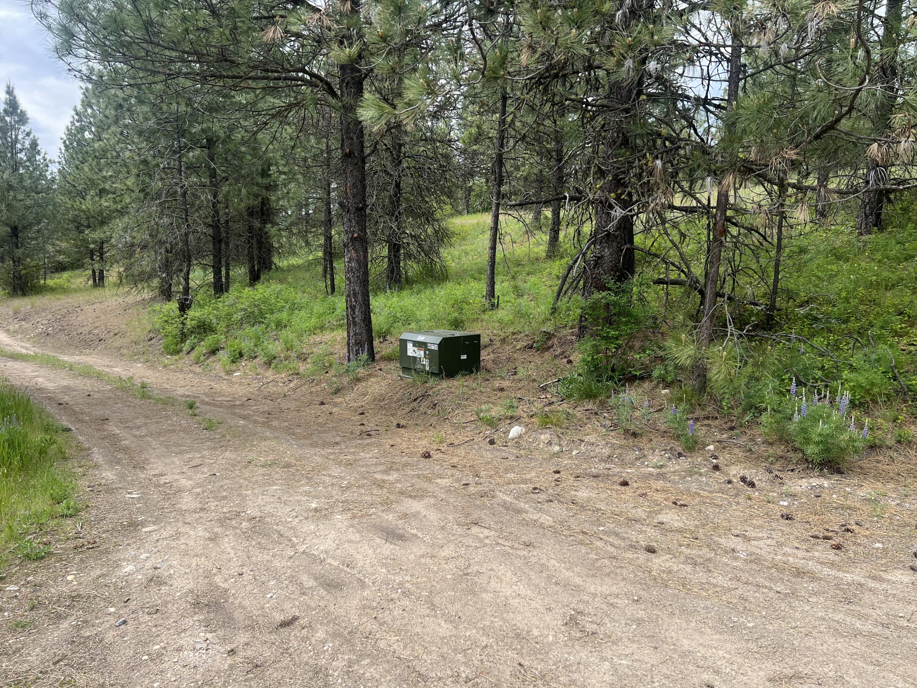 16 SPRING LOOP